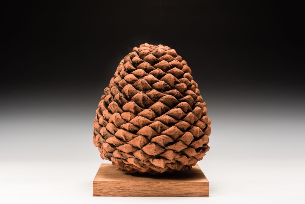 Cathy Keys hand pinched and constructed bunya cone